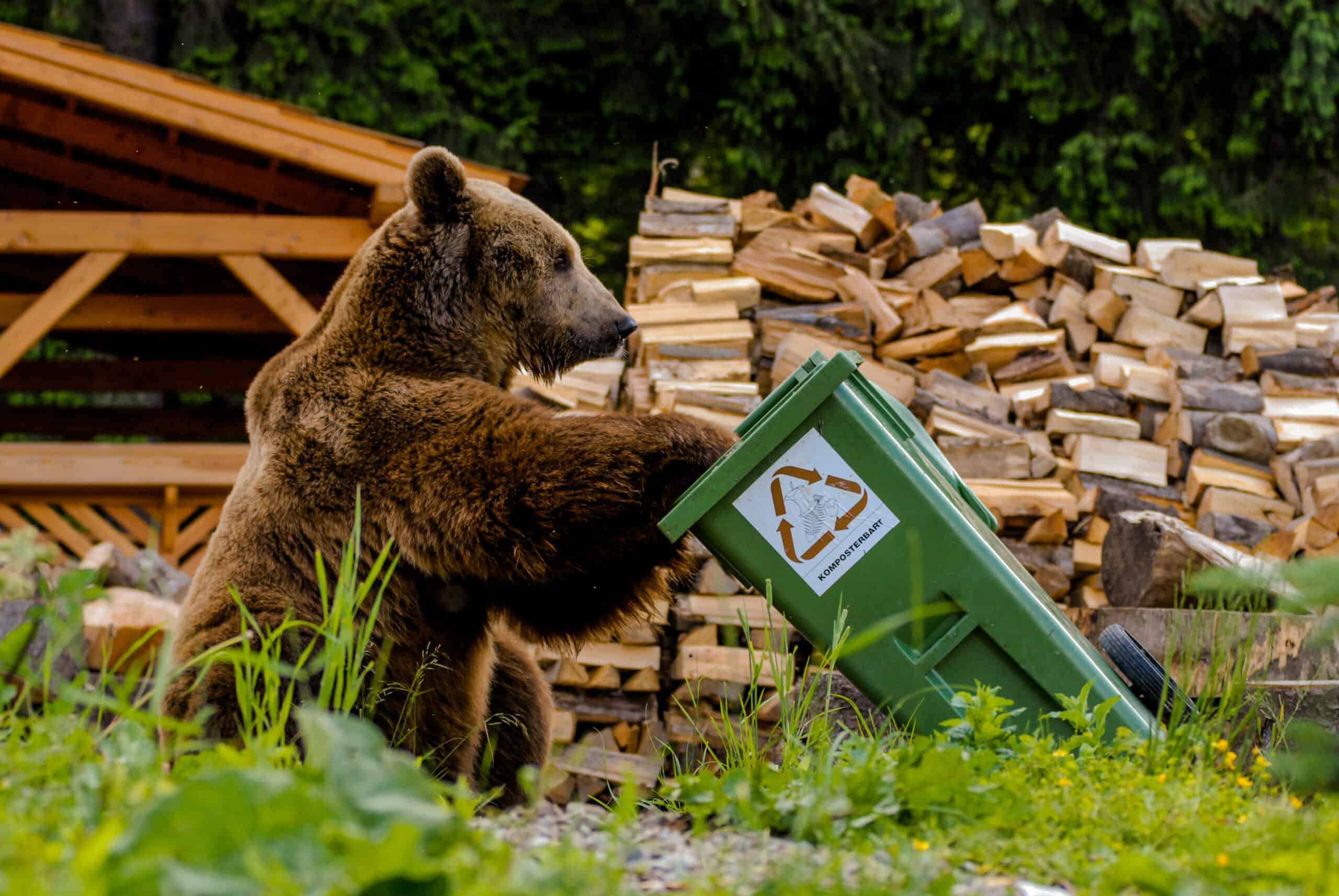 Wildlife-Proofing Your Vacation Home