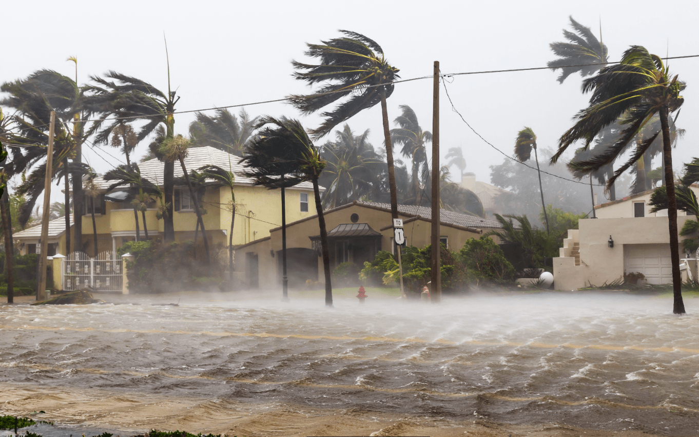 Hurricane-Proofing Your Home